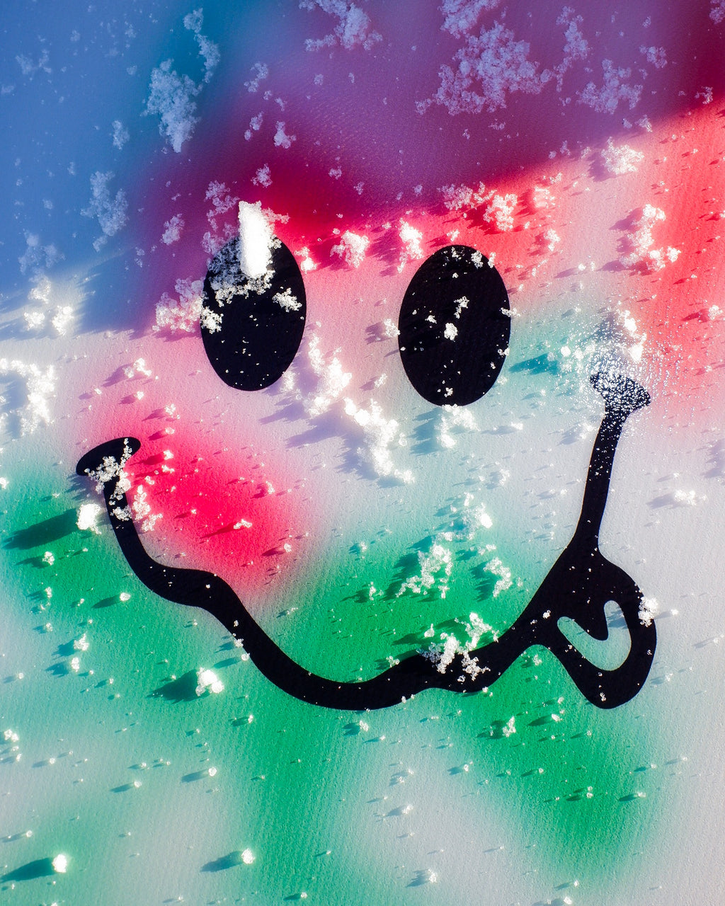 Evil Twin Men's Snowboard