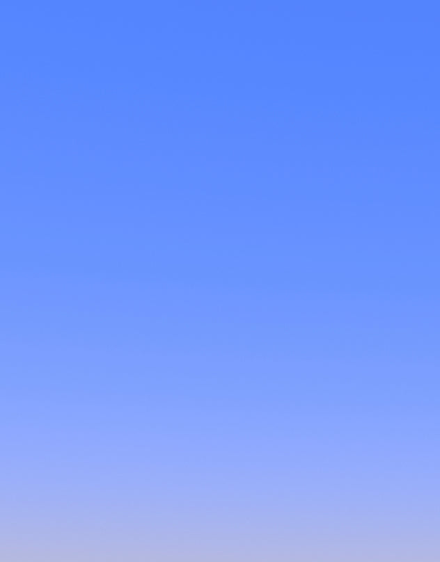 Custom Link 2 - Bataleon DEV