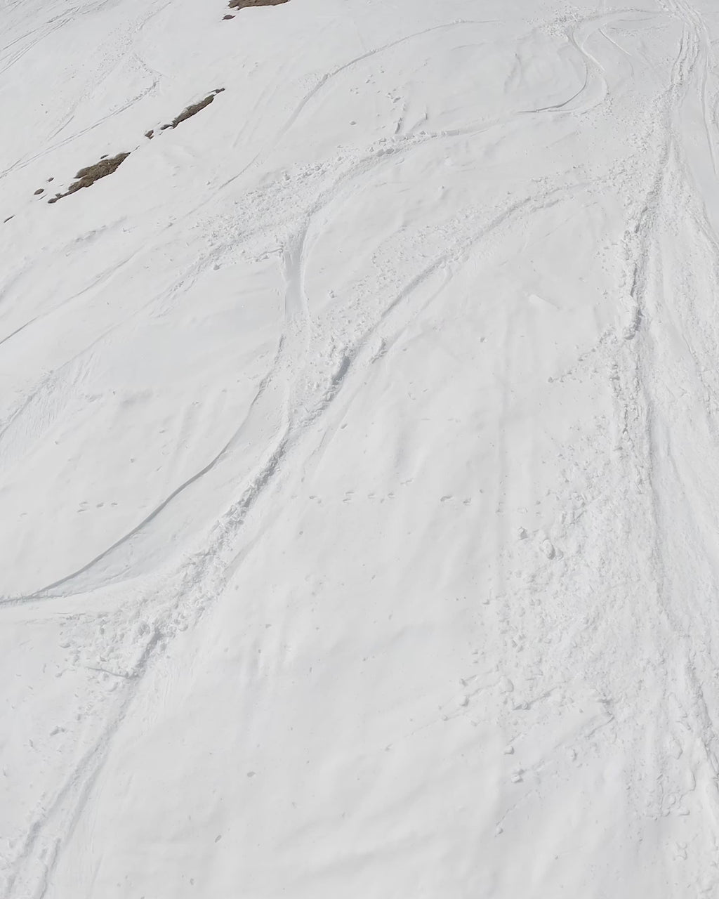 Children snowboard in purple and white. Stuntwood 2025-Bataleon-Snowboards™ 2025.