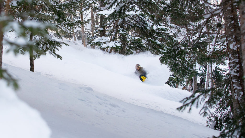 The Bataleon Toshiki Ltd. Snowboard 2020 - 2021 product image