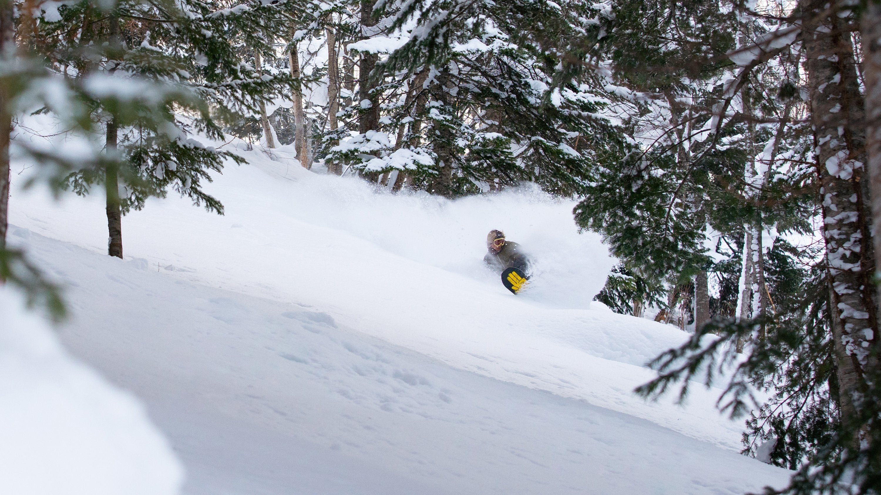 The Bataleon Toshiki Ltd. Snowboard 2020 - 2021 product image