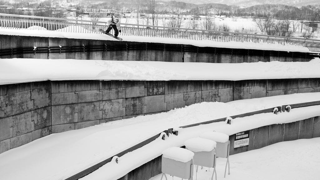 The Bataleon Toshiki Ltd. Snowboard 2020 - 2021 product image