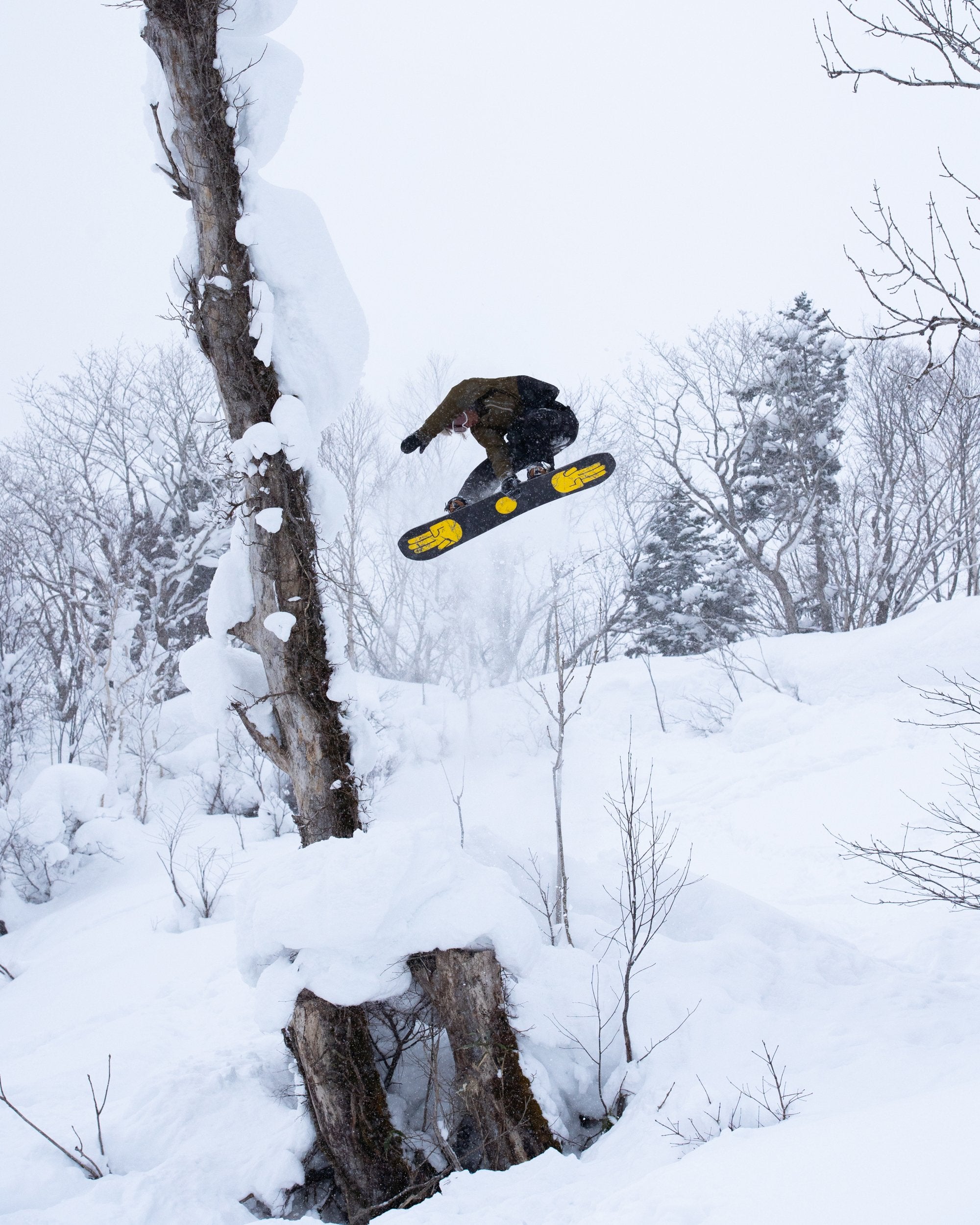 The Bataleon Toshiki Ltd. Snowboard 2020 - 2021 product image