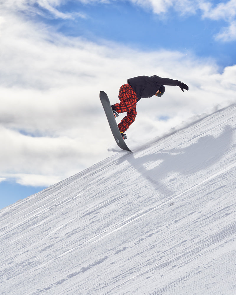 Stallion - Bataleon DEV